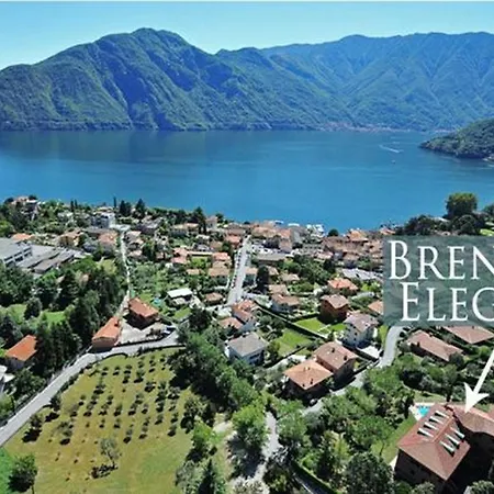Brentano Elegante * 梅泽格拉